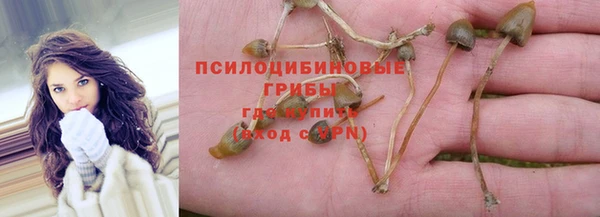 первитин Дмитров