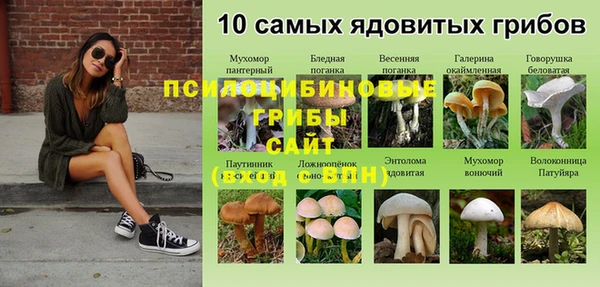 метадон Дмитриев