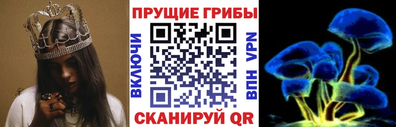 Псилоцибиновые грибы GOLDEN TEACHER  Купить закладки  Олёкминск 